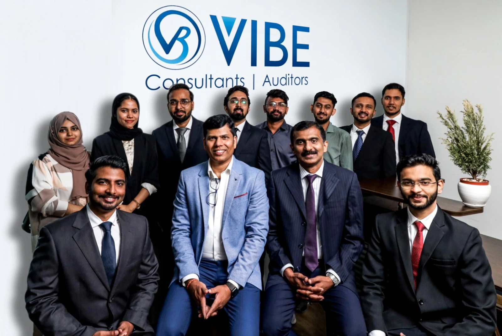 Vibe Consultant Branding